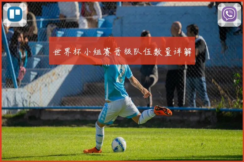 世界杯小组赛晋级队伍数量详解