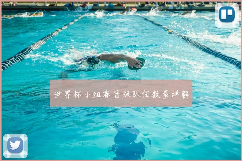 世界杯小组赛晋级队伍数量详解